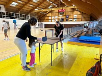 Ping-pong